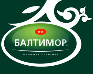 Новый логотип "Балтимор"