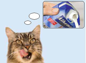 Молоко для кошек СombifitSmall