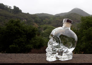 Crystal Head Vodka