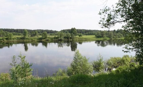 Убийца природы