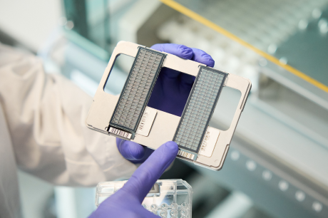 Хозяйственные признаки