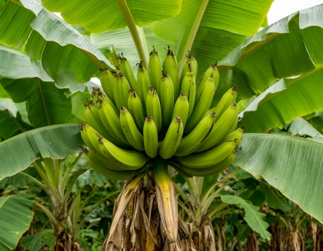 Круглосуточный контроль