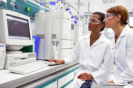 termpapers lab termpapers lab
