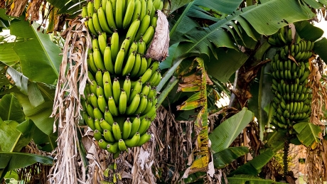 Опыт присутствует