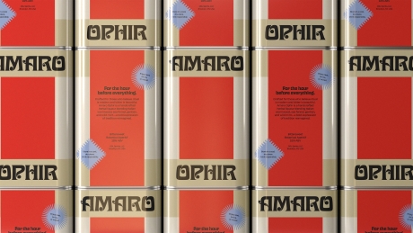 Двойственный характер