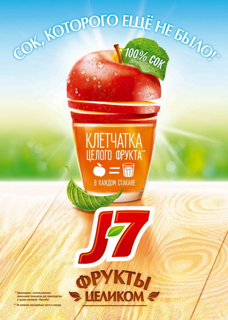 Забавные еноты