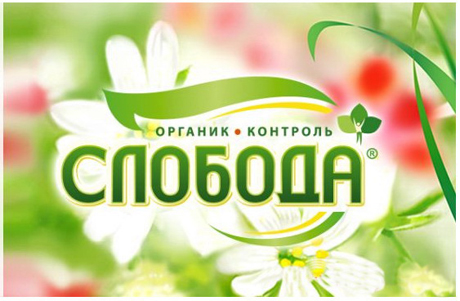 И снова победитель