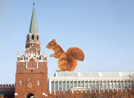Высокопоставленный зверек