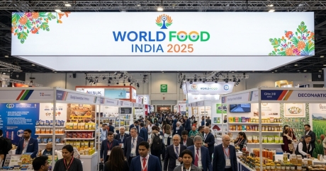 Дружелюбная встреча