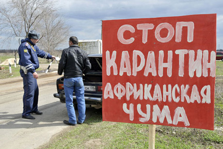 Чума от экономики не зависит