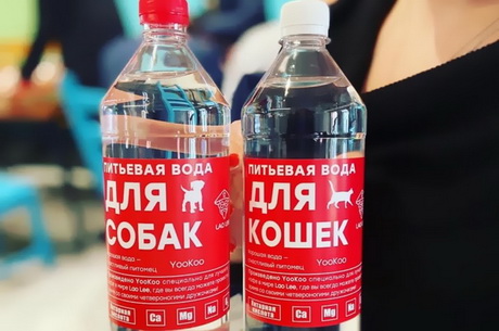 Саркастическая реакция