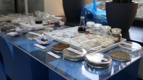 Яркое достижение