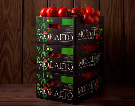 Актуальная плоскость