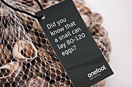 Улитки в коробке