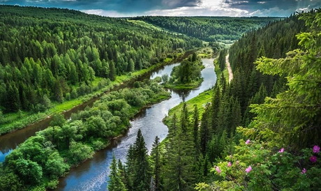 Дар природы