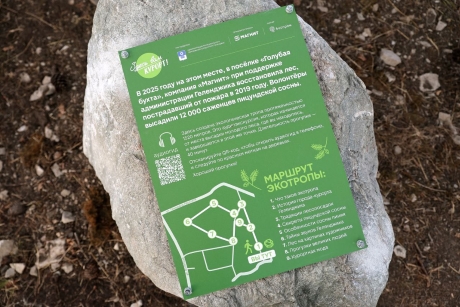 Готовые лунки