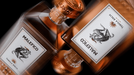 Воплощение двойственности