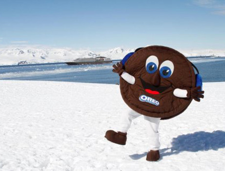 Oreo в ледяной пустыне