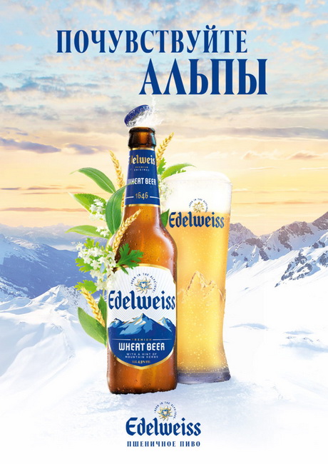 Шельф Альпийских гор