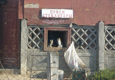 Охота за стеклом