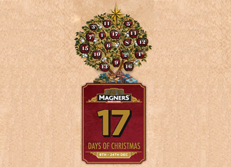 17 мгновений зимы