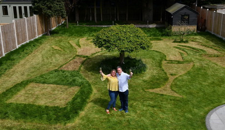 Лужайка мечты