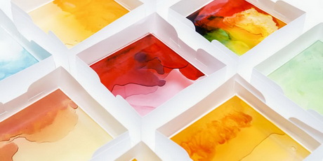 Вкусное разноцветие