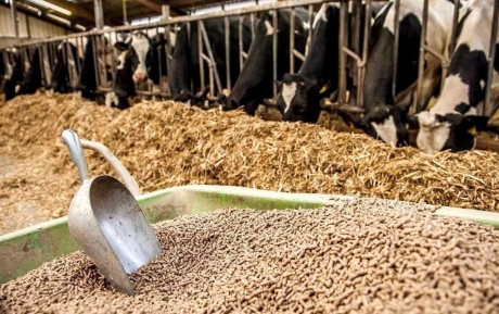 Продукт протестирован