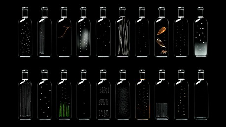 Капли со смыслом