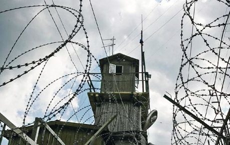 Выдержка от восьми лет 