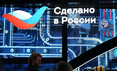 Птичка для всех