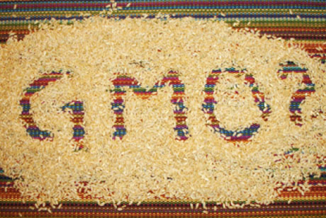 За ГМО ответишь