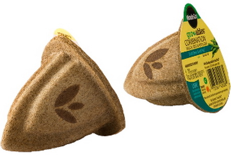 Жёлудь с семенами