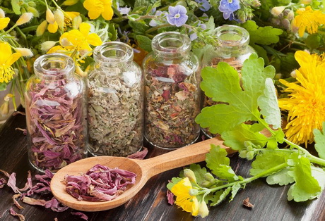 Подходит для культивирования