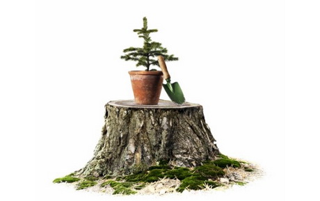 Нетривиальный конкурс