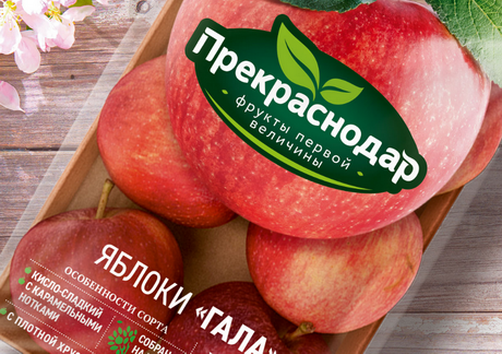Игра слов