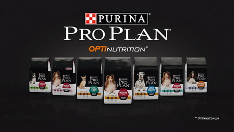 Подчёркнутая любовь