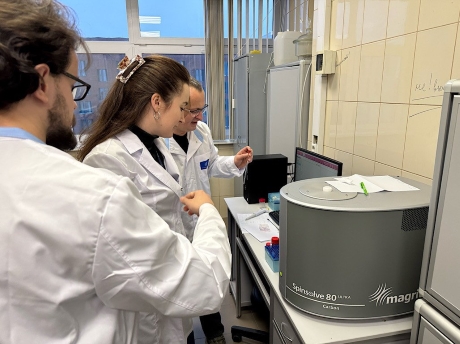 Основа для покрытий