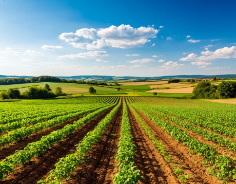 Оптимальное распределение