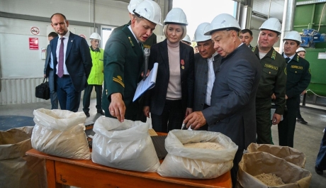 В одной вертикали