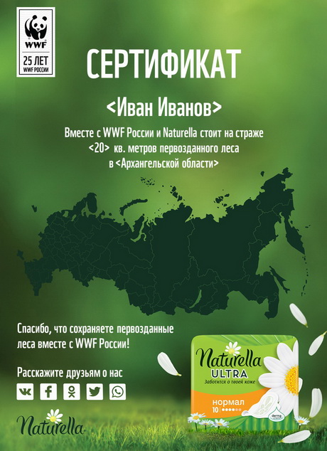 Подтверждение статуса