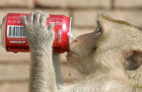 Шесть трендов от Coca-Cola