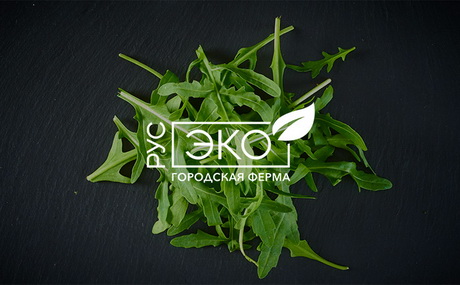 Круглый год