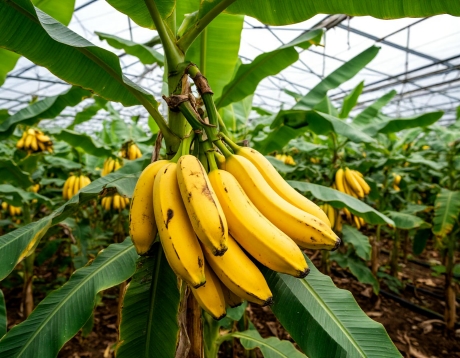 Транспортная обработка