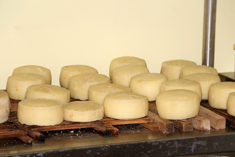 Руками сыроделов