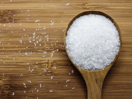 Важные бактерии