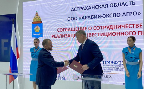 Особо значимый проект