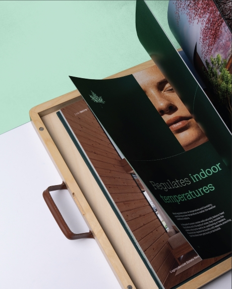 Идея гармонии